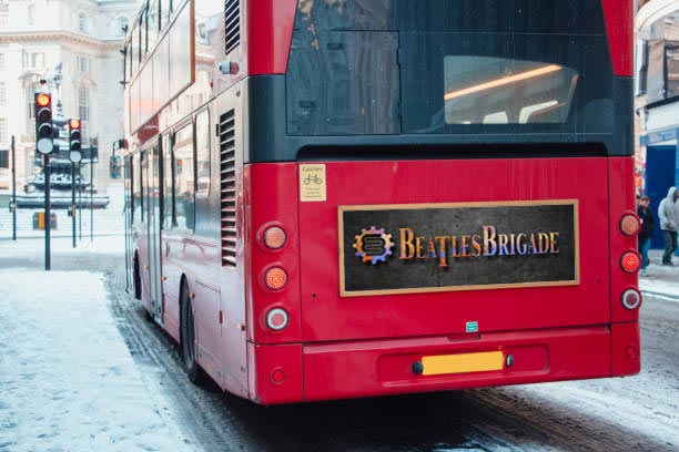 Beatles Brigade - Steampunk Girl